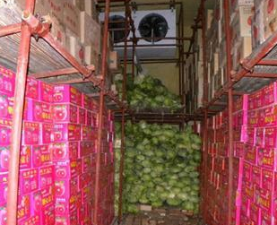 德阳小型保鲜冷库